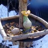 photo 2019-01-14 09-43-26