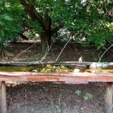 photo 2021-08-24 16-50-12