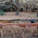 photo 2021-10-26 07-58-07