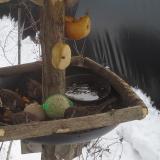 photo 2019-01-27 12-48-26