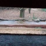 photo 2021-12-09 07-46-29