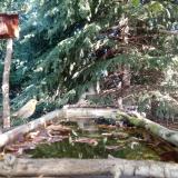 photo 2023-10-06 11-12-06