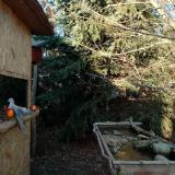 photo 2021-12-21 14-20-21