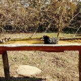 photo 2021-03-11 10-35-18