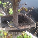 photo 2019-12-02 10-03-16