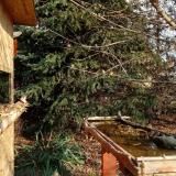 photo 2021-11-18 10-41-42