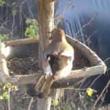 photo 2019-12-17 14-17-48