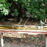 photo 2021-09-16 08-50-22