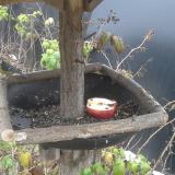 photo 2019-12-06 13-15-36