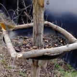 photo 2019-01-03 12-12-46