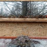 photo 2022-01-20 12-20-37