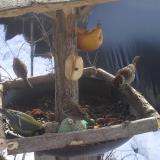 photo 2019-01-29 10-57-36