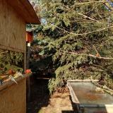 photo 2022-01-12 13-24-10