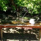 photo 2021-05-10 10-32-01