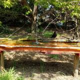 photo 2021-04-26 11-49-37