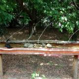 photo 2021-07-14 12-36-53