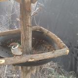 photo 2019-02-18 07-03-09