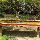 photo 2021-04-22 14-06-16