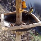 photo 2019-02-08 11-18-03