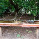 photo 2021-07-23 17-01-12