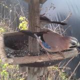 photo 2019-12-22 11-30-36