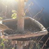 photo 2019-12-22 08-49-44