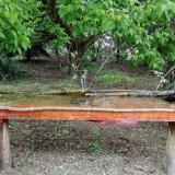 photo 2021-05-07 11-58-33