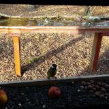 photo 2021-11-03 14-33-54