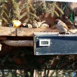 photo 2021-02-15 11-35-50