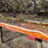 photo 2021-04-08 16-29-11