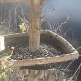 photo 2019-12-24 10-23-31