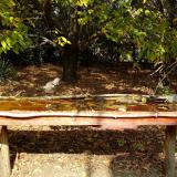 photo 2021-10-12 12-27-10