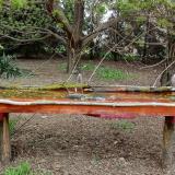 photo 2021-04-13 10-40-35