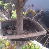 photo 2019-12-02 09-28-12