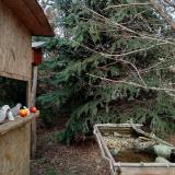 photo 2021-12-18 13-51-06