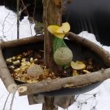 photo 2019-01-12 13-40-32