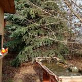 photo 2021-12-15 13-22-37