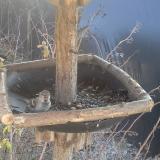 photo 2019-12-31 12-20-01