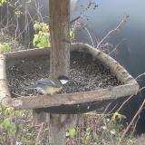 photo 2019-12-18 08-02-09