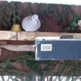 photo 2021-02-11 08-06-04