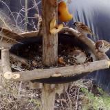 photo 2019-02-03 08-39-40