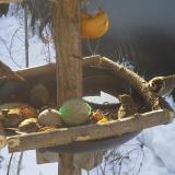 photo 2019-01-27 09-17-11