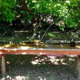 photo 2021-05-10 12-34-34