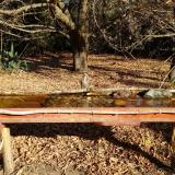 photo 2021-10-29 10-05-04