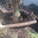 photo 2019-02-11 09-01-59