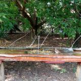 photo 2021-09-07 15-24-35