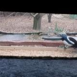 photo 2021-12-09 08-34-03