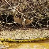 photo 2021-03-11 10-24-12 vereb