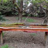 photo 2021-04-13 11-32-50