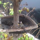 photo 2019-12-02 10-53-53